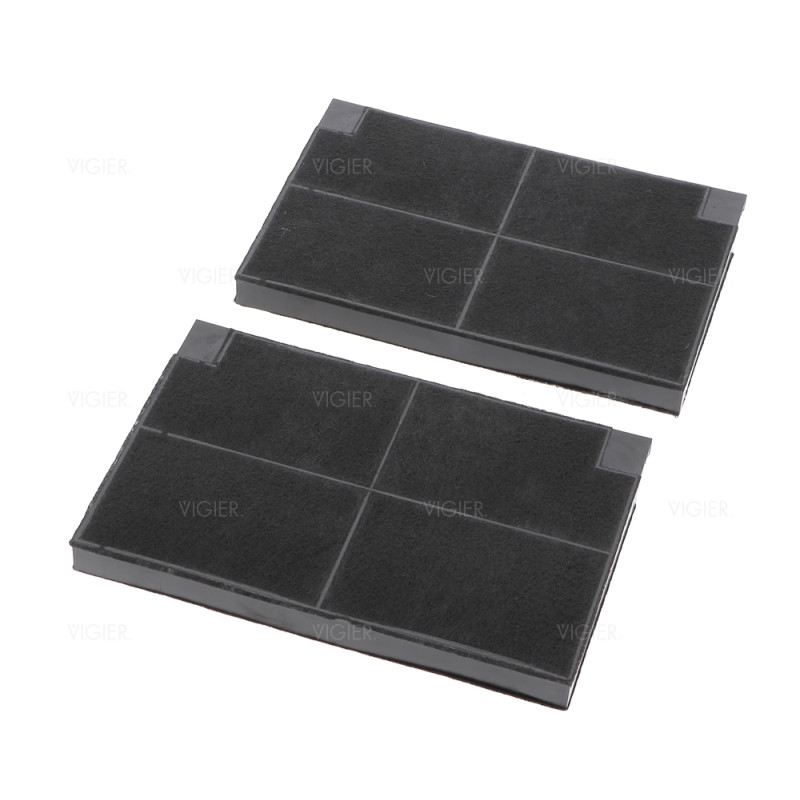LOT DE 2 FILTRES CHARBON HOTTE ESPACE ORIENT ROBLIN 5403002