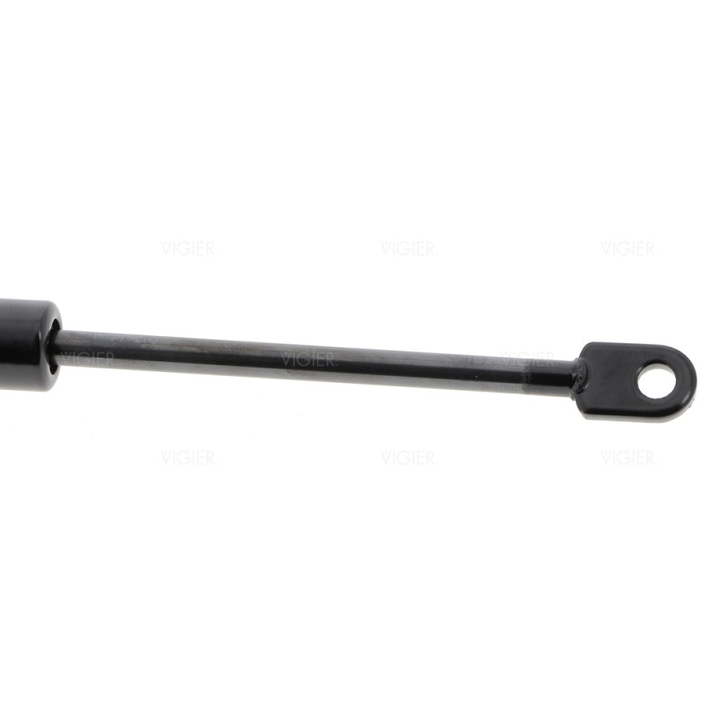 VERIN PORTE MICRO ONDES ROSIERES PR3RIN 93700490