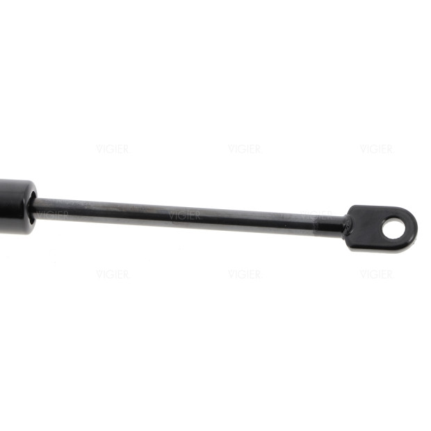 VERIN PORTE MICRO ONDES ROSIERES PR3RIN 93700490