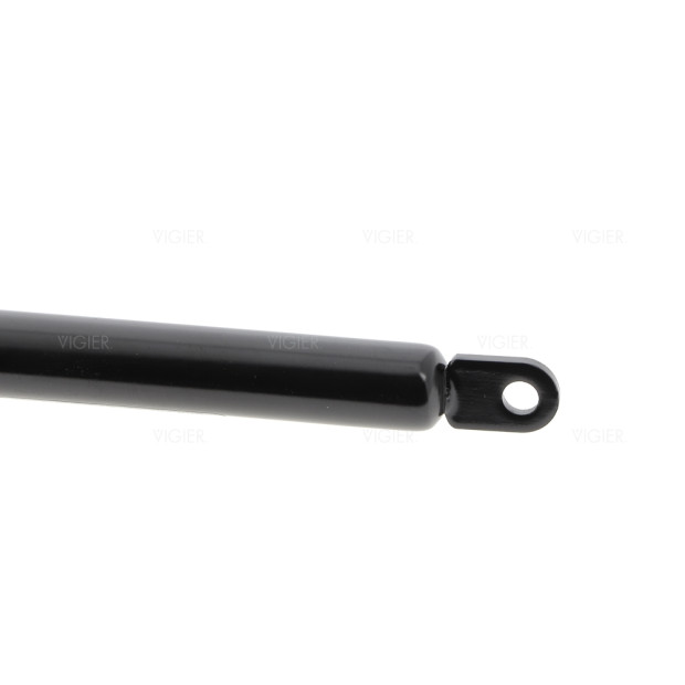 VERIN PORTE MICRO ONDES ROSIERES PR3RIN 93700490