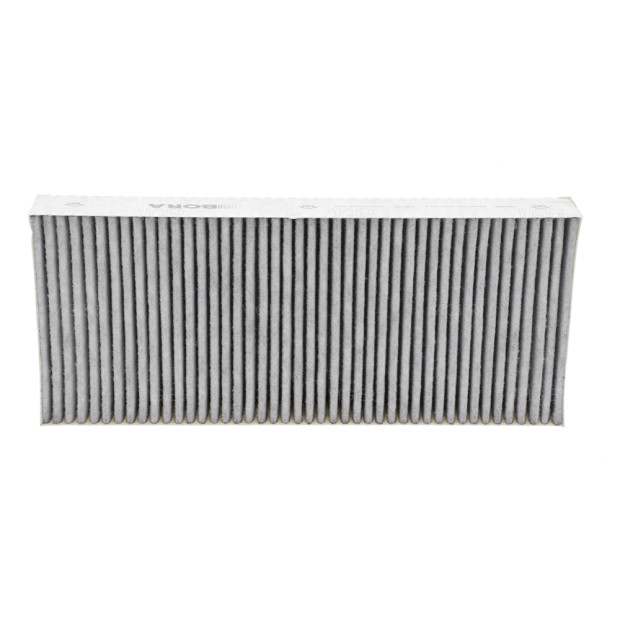 Filtre à charbon d'origine anti odeurs pour four Bora X BO