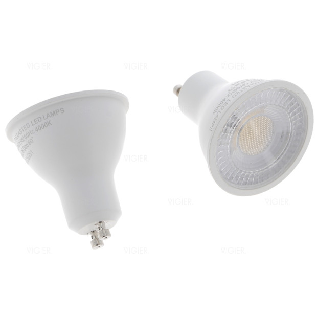 KIT 2 LAMPES HALOGENE 50W 230V AVEC DOUILLES HOTTE ROBLIN