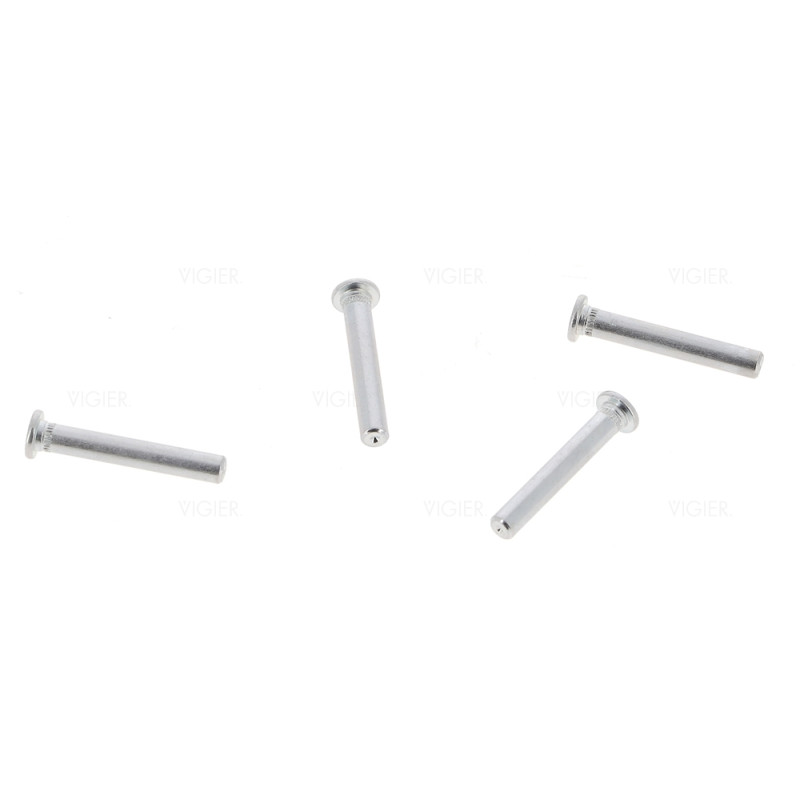 Kit axes de charnières de porte réfrigérateur Liebherr