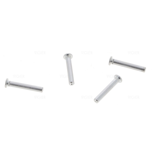 Kit axes de charnières de porte réfrigérateur Liebherr