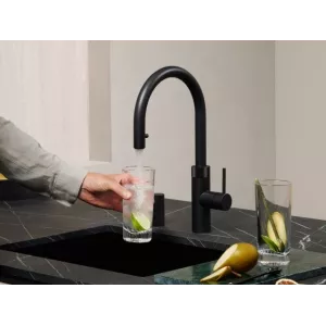 Mitigeur eau bouillante Douchette Flex Noir réservoir PRO3