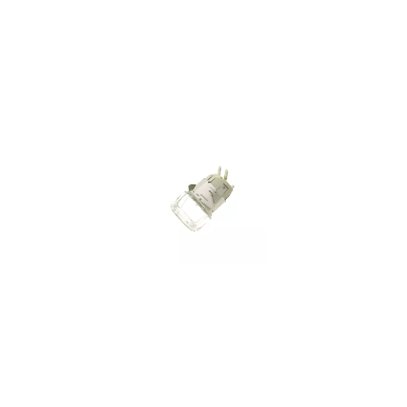 Douille et hublot lampe four Brandt Sauter De Dietrich