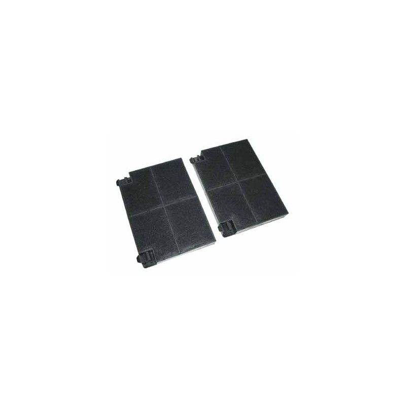 LOT DE 2 FILTRES A CHARBON EFF70