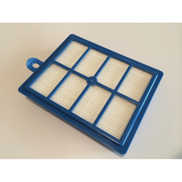 Filtre HEPA lavable pour Electrolux/Boldio/Excellio/OXYGEN