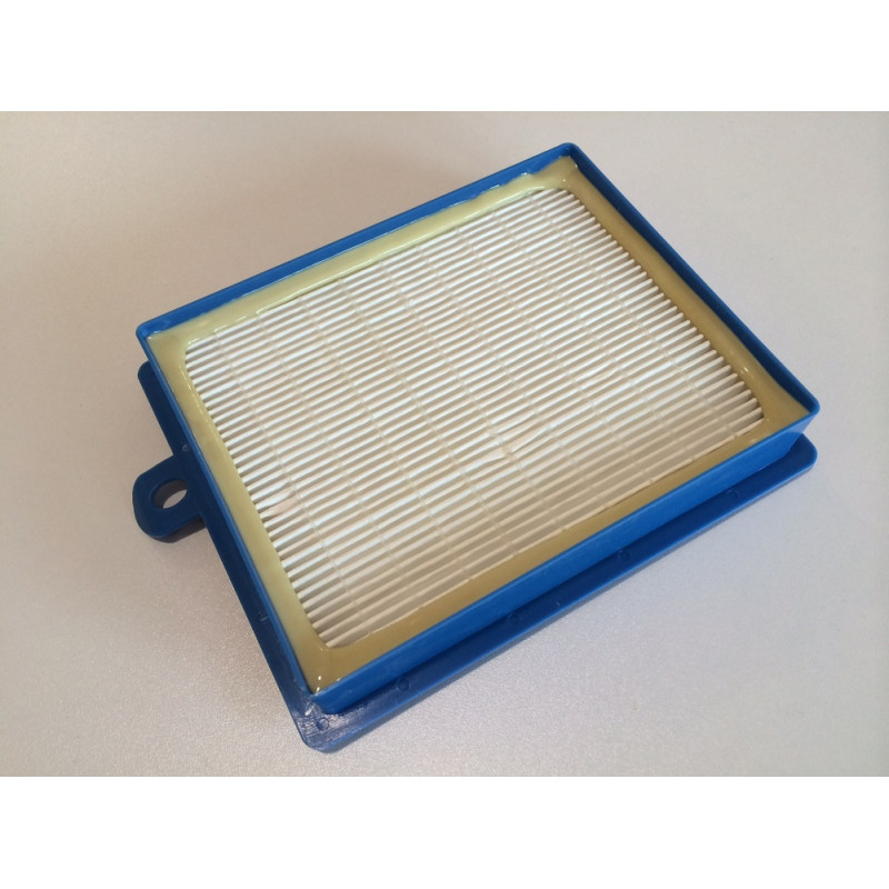 Filtre HEPA lavable pour Electrolux/Boldio/Excellio/OXYGEN