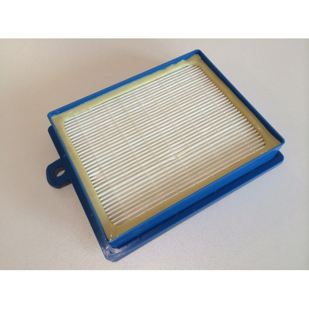 Filtre HEPA lavable pour Electrolux/Boldio/Excellio/OXYGEN
