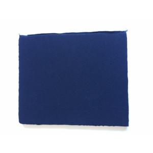 FILTRE A CHARBON SOUPLE MOUSSE HOTTE ARISTON C00275901