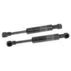 Lot de 2 verins Hettich 300N pour porte micro ondes