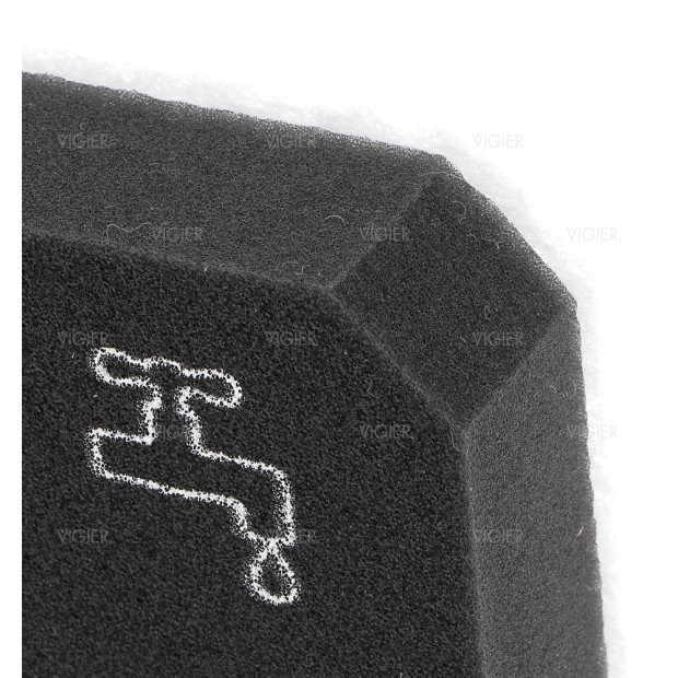 Filtre mousse pour aspirateur Cyclone Electrolux 2194113029